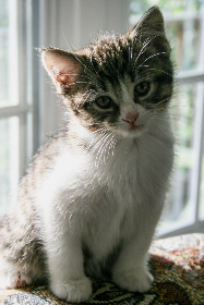 2012年足彩各期开奖结果完整查询与历史回顾 2012年足彩各期开奖结果完整查询与历史回顾