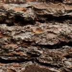 2011年双色球开奖历史回顾与详细数据分析 8749z6