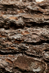 2011年双色球开奖历史回顾与详细数据分析