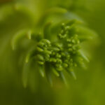 3D开奖时间最新公告:每日几点开奖与结果查询 f9f1npby