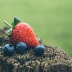 2012033期双色球开奖号码结果查询 qaxiq