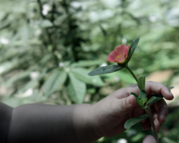 2012097期双色球开奖结果查询与中奖号码公布