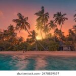 2013071期双色球开奖结果查询与详细号码公布 tzmggir