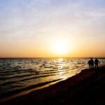 3d开奖排列五最新精准预测与走势分析 vdr502zk