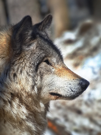 201201期彩票开奖结果及中奖号码公布